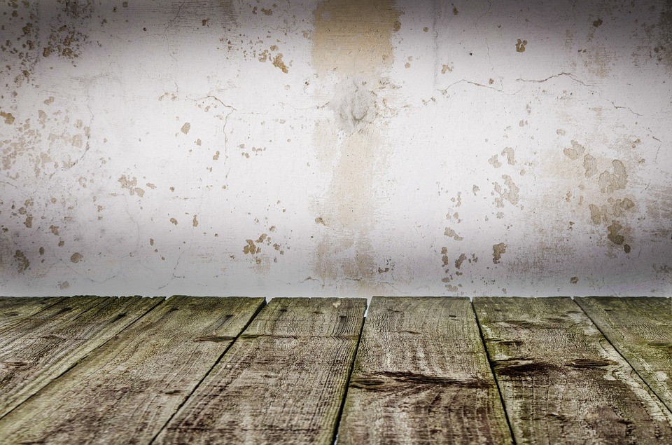 Wood floors damaged by a pest attack.