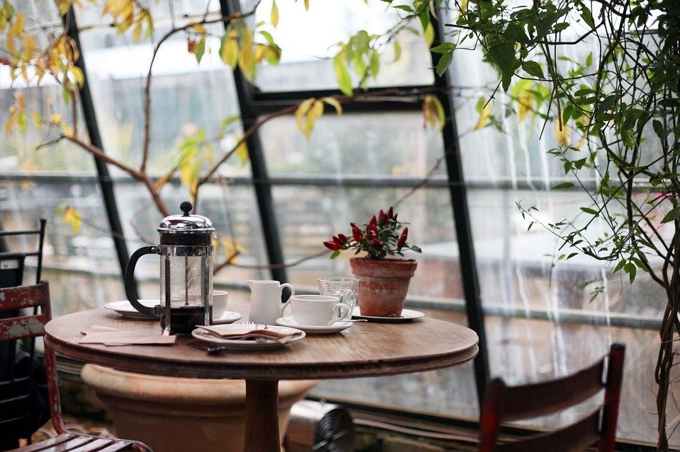 Wooden coffee table with coffee and a flower pot.