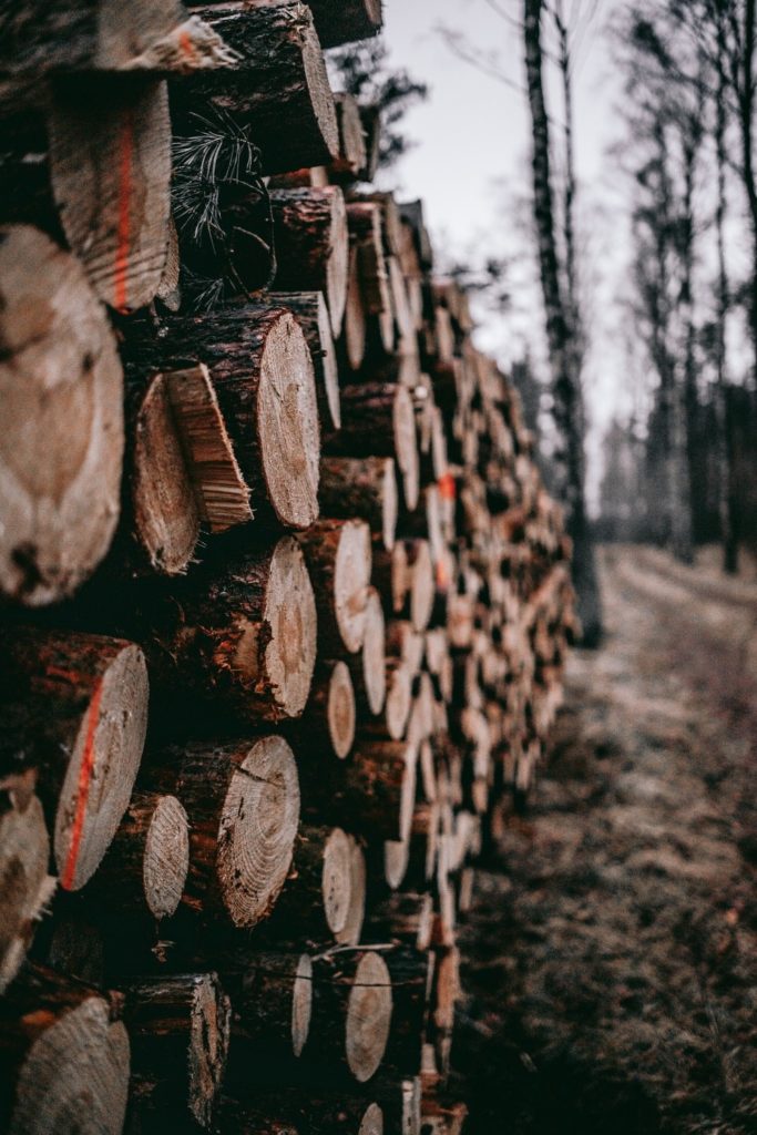 Logs of woods of different types
