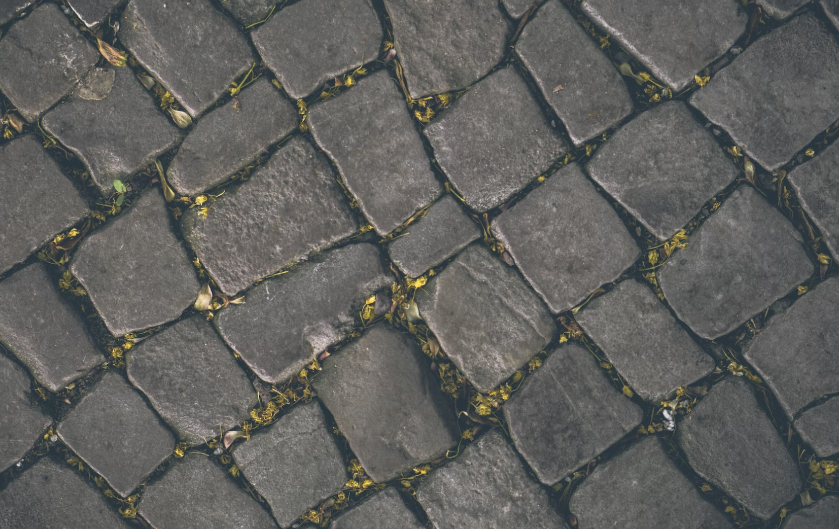 A picture displaying stone flooring with plants in the cracks